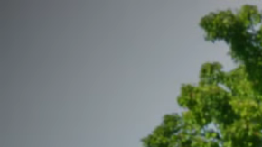 Chevrolet Silverado EV 2025 agrega el modo Sidewinder