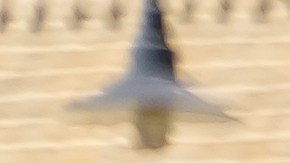 La razón por la que los Tesla no pueden ser carros de policía