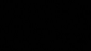 Toyota homenajea a una leyenda del Nascar con "Suprabird"