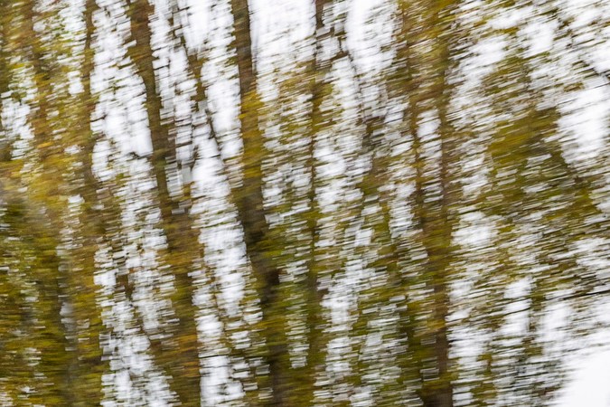 VinFast VF9 hace sus primeras entregas en Estados Unidos