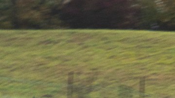 VinFast VF9 hace sus primeras entregas en Estados Unidos