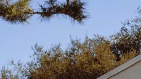 Volskwagen ID.Buzz 2025