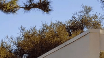 Volskwagen ID.Buzz 2025