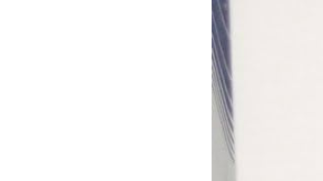 Amortiguadores Boge: opiniones, características y precios