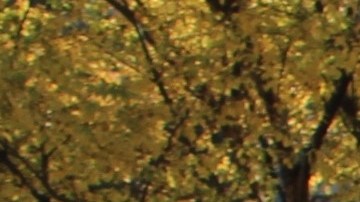 carros de $3,000 dolares en new york​