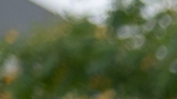 Toyota confirma el regreso del Celica con su octava generación