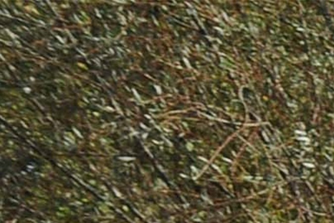 como checar un ticket de trafico