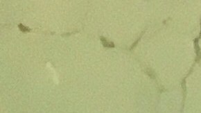 ¿Por qué mi carro tiene líneas en el vidrio trasero?