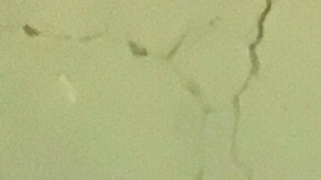 ¿Por qué mi carro tiene líneas en el vidrio trasero?