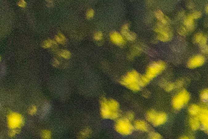 Volkswagen y Rivian se unen para lanzar un Golf eléctrico