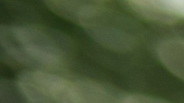 ¿Qué es una garantía bumper to bumper y cómo te protege?