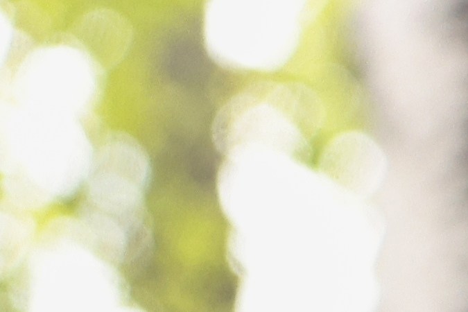 Qué es la licencia de conducir permanente y cómo obtenerla: 10 claves