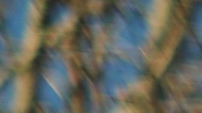 placas temporales cerca de mi