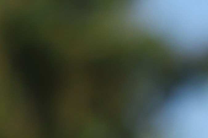 Cómo limpiar los guardabarros del auto de manera efectiva