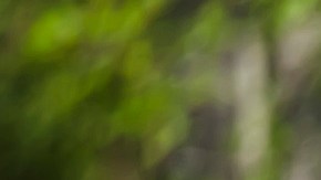 Retiran 33,000 RAM 1500 por problemas en el sistema de estabilidad