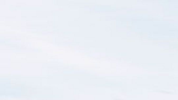 ¿Navidad con nieve? Estos 10 SUV te salvarán en invierno