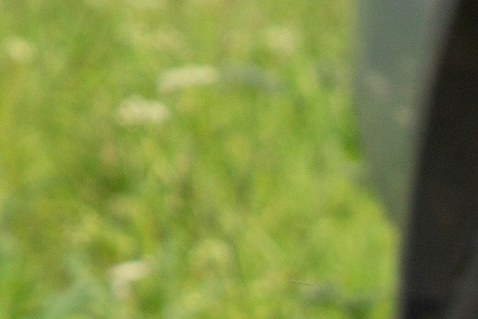 Los mejores refrigeradores portátiles para tu auto 2024