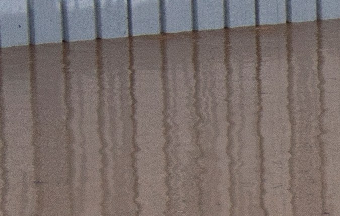 cual es el mejor seguro de carro en new york