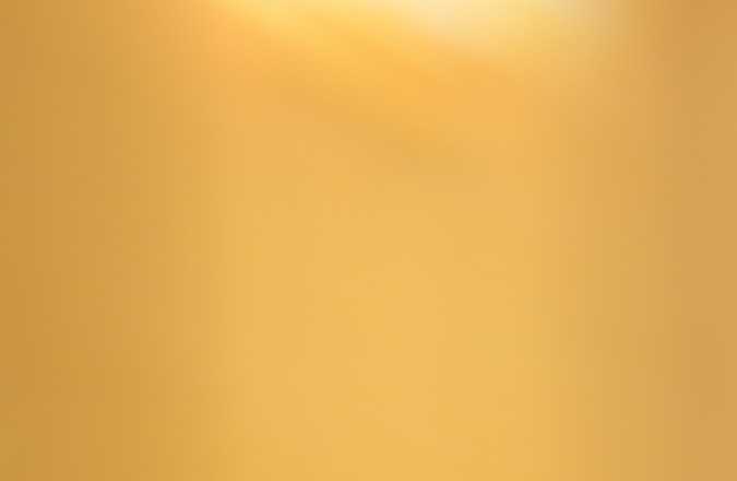 Subasta de carros de la policia en Dallas TX