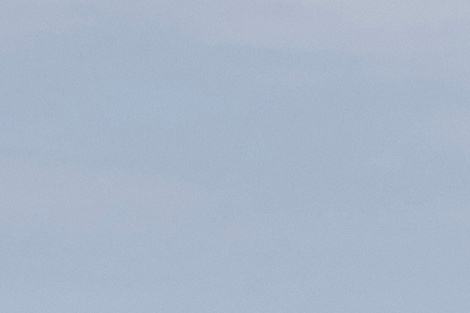 subastas policiales en línea