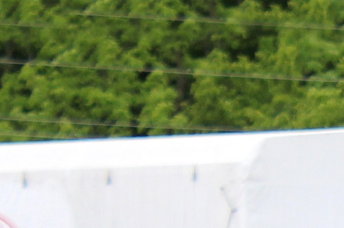 problemas del Toyota Camry