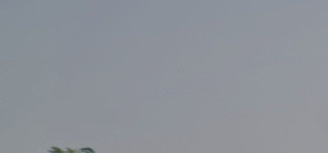 vintage broncos ford lawsuit