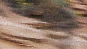 Marcas y modelos de autos que pierden menos valor con el tiempo: el ranking