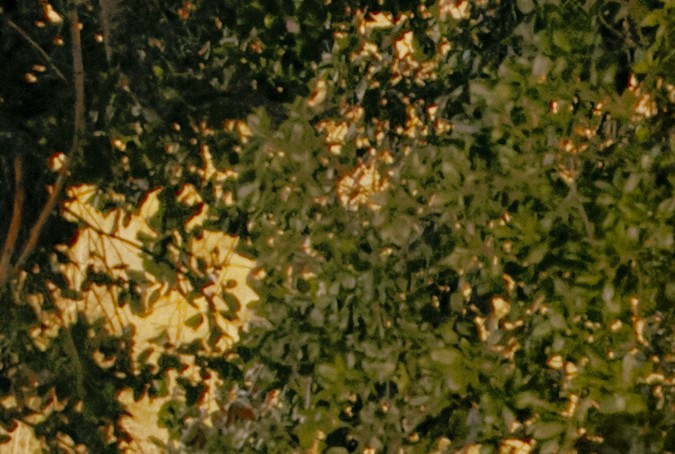 Marcas y modelos de autos que pierden menos valor con el tiempo: el ranking