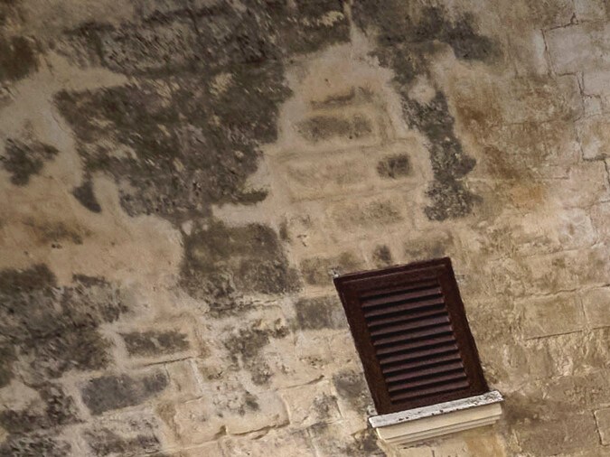 Alfa Romeo Tonale 2025: híbrido y gasolina