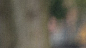 Por qué los autos altos son más peligrosos para los peatones