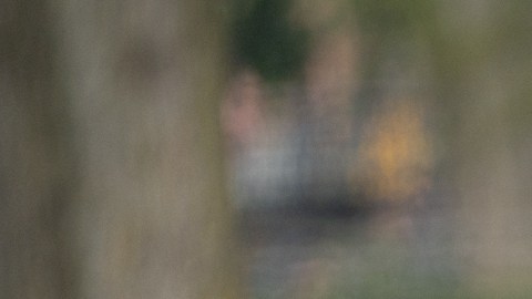 Por qué los autos altos son más peligrosos para los peatones