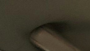 Cómo llevar a un gato en el carro