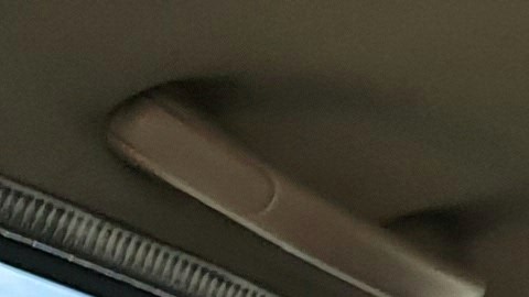 Cómo llevar a un gato en el carro