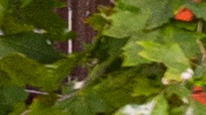 GM dice adiós a los robotaxis y abandona el proyecto Cruise