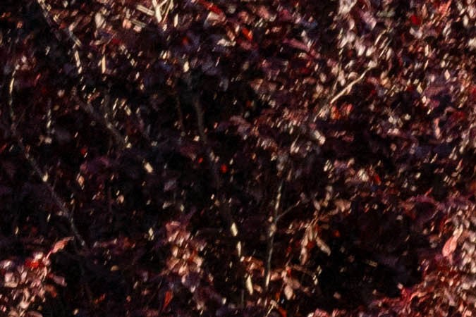 GM dice adiós a los robotaxis y abandona el proyecto Cruise