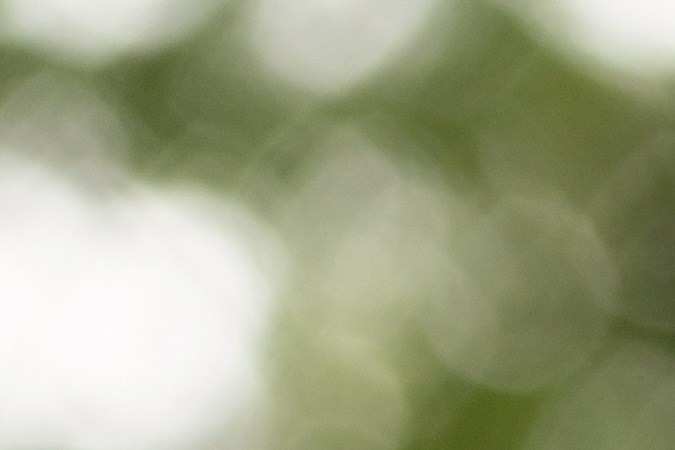 Los dueños de autos eléctricos no quieren volver a la gasolina