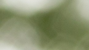 Los dueños de autos eléctricos no quieren volver a la gasolina