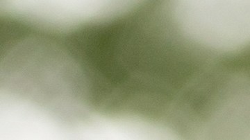 Los dueños de autos eléctricos no quieren volver a la gasolina