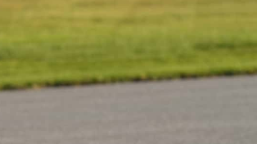 Ferrari 250 LM podría alcanzar más de 20 millones de dólares en subasta