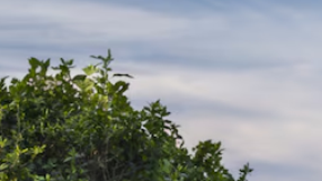 GMC Acadia Denali 2024: características y prueba de manejo