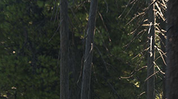 Autocaravana que se carga solo con energía solar