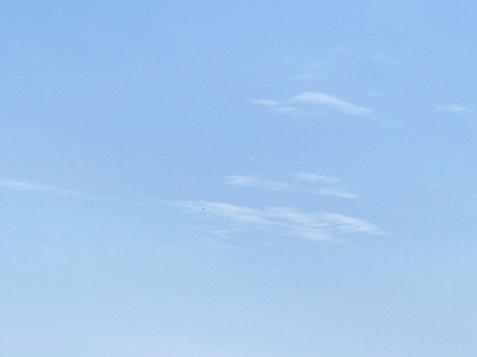 Mercedes-AMG PureSpeed: solo 250 unidades inspiradas en la F1