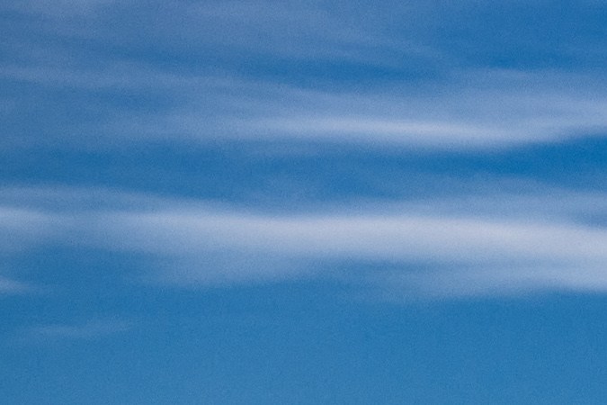 BMW Serie 5 Touring se lleva el premio al mejor auto premium