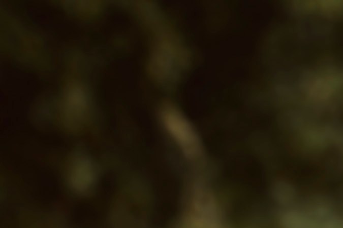 Waymo llega a Miami con sus robotaxis autónomos