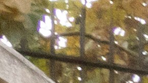 El Papa Francisco recibe el primer Papamóvil eléctrico por Mercedes-Benz