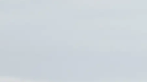 Un Ford RS 200 S será subastado por más de $300,000 dólares