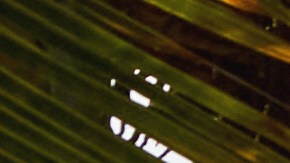 Range Rover SV Candeo