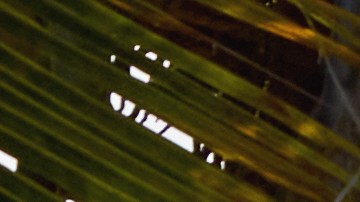 Range Rover SV Candeo