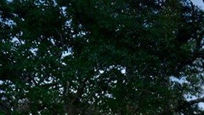 Subaru Solterra 2025: se actualiza con baja de precios