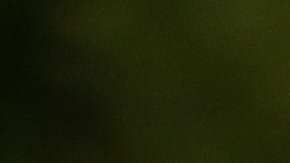 Tesla retira 700.000 autos por fallo en los neumáticos